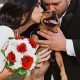 Event & Wedding Photography