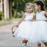 Event & Wedding Photography