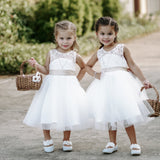 Event & Wedding Photography