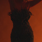 Videography